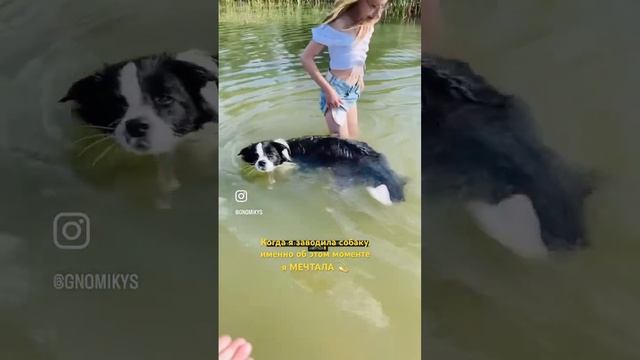 В детстве меня укусила собака за лицо, не помню боли, помню страх и реакцию родителей