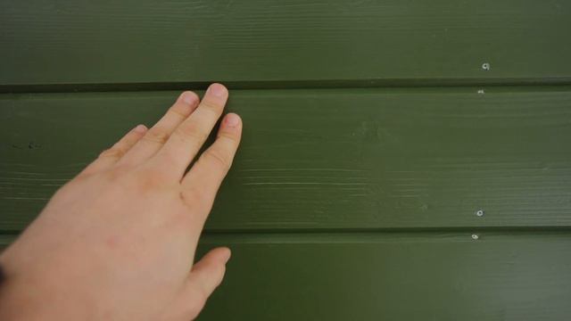 Дом борг с увеличенной гостинной. Каркасный дом от "Канадской избы" \ Реальный отзыв.