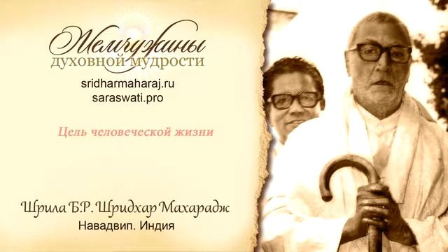 Шрила Б.Р.Шридхар Махарадж Цель человеческой жизни.