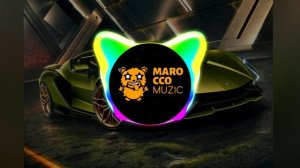 ANDI, Tara202-Дама