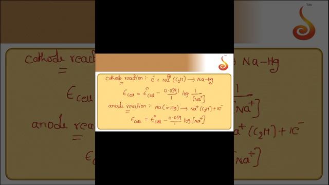 PU 2 | NEET S2 | Chemistry | Electrochemistry | Lecture 02 | Slide 17 | Types Of Half Cell