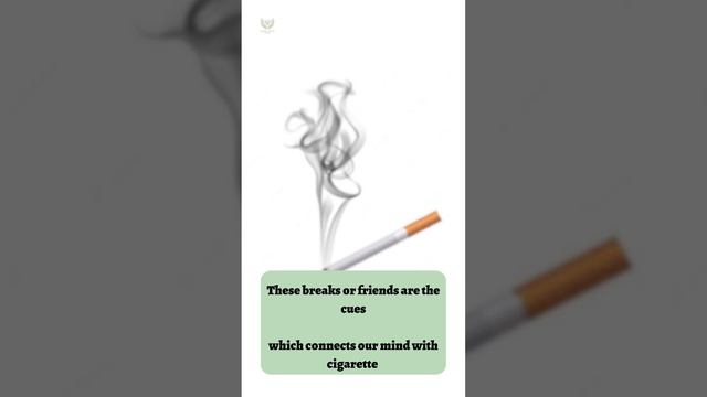 The Habit loop #mentalhealth #health #mindfulness #meditation #anxiety #psychology #therapy смотреть онлайн