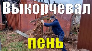 Выкорчевал пень