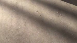 2022 04 20   Лонгборд пампинг