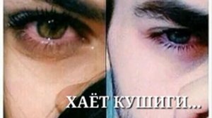 Хаёт кушиги