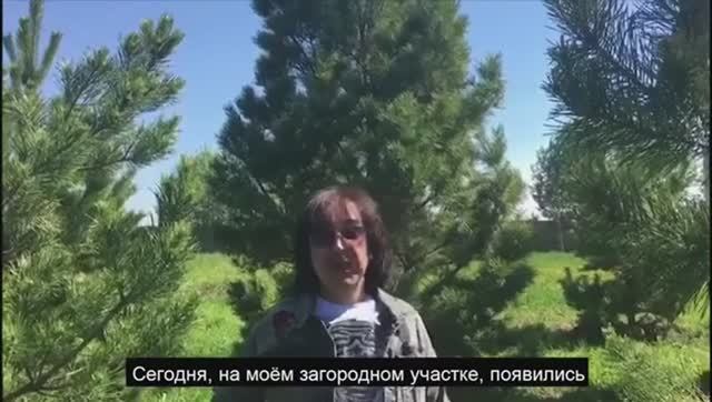 Кай Метов рекомендует питомник растений Экоплант
