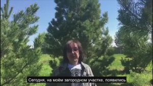 Кай Метов рекомендует питомник растений Экоплант