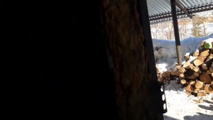 Борьба с весенней хандрой