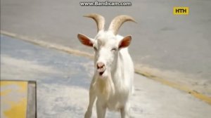 Реклама TUC/ печенье Тук/ Реклама снеков