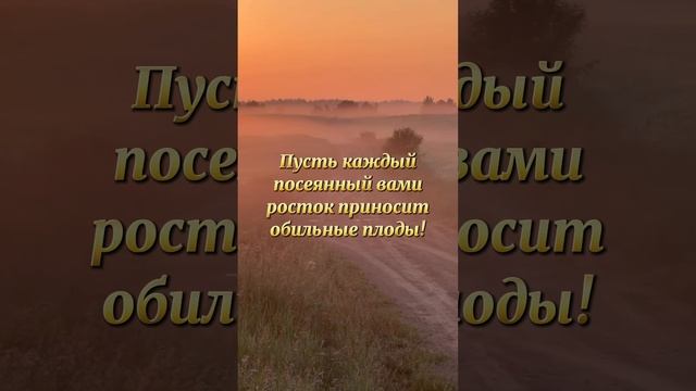 Поздравляем с Всероссийским днём ноутильщика! #прямойпосев #notill #плодородиепочвы #почва