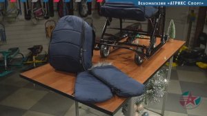 Санки-коляска в Балашихе комби Ника Детям 7-5SК (синий) НД7-5SК:TC