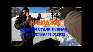 Наноджиг. Димон и судак. Поймал и отпустил! 16.01.2022