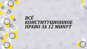 Всё конституционное право за 12 минут