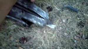 домкрат для автомобиля купить совет при покупке домкрат