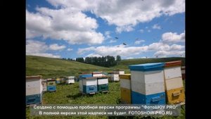 Пчелоферма "Русский мед"