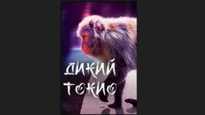 Дикий Токио