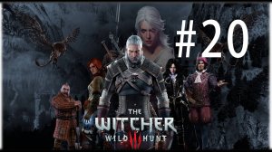 Ведьмак 3: Дикая Охота. 20 стрим по игре The Witcher 3: Wild Hunt