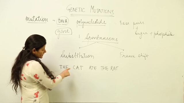 CBSE CLASS 12 BIOLOGY - Genetics - Molecular Basis Of Inheritance - a  mutations