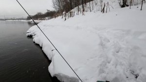 #77 Наноджиг в Братеево Москва река 31.01.2022