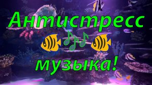 🐠 ОЧЕНЬ КРАСИВАЯ РАССЛАБЛЯЮЩАЯ МУЗЫКА ДЛЯ ДУШИ! 🎵 ЧАРУЮЩИЙ АКВАМИР И АНТИСТРЕСС МУЗЫКА ДЛЯ СНА