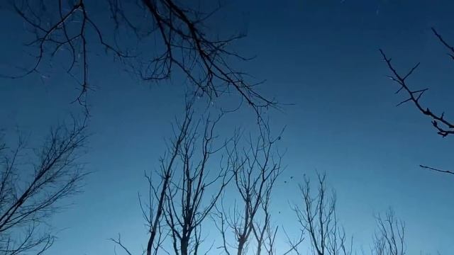 Манок - Sam Neyt (crow call Sam Neyt) - FT3 смотреть онлайн