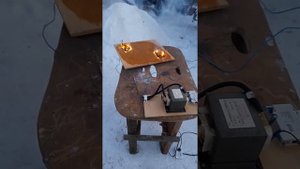 Выживание молнии на дереве