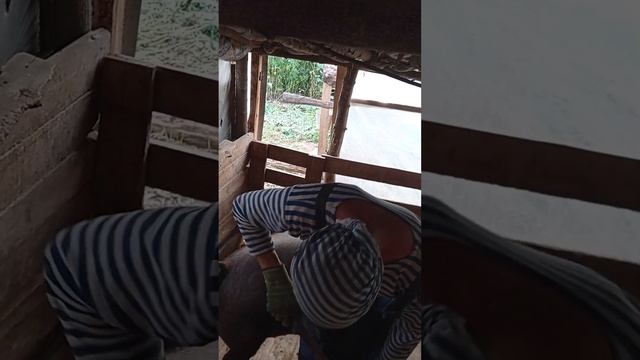 БОРЬКА #сельскоехозяйство #ферма #животные #свиньи #видео #оренбург #оренбургскаяобласть