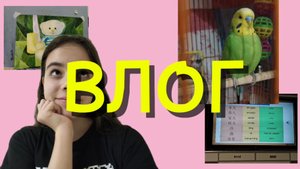 ВЛОГ!!! Первая неделя зимы! 🎄❄️Школа, художка и мои истории!