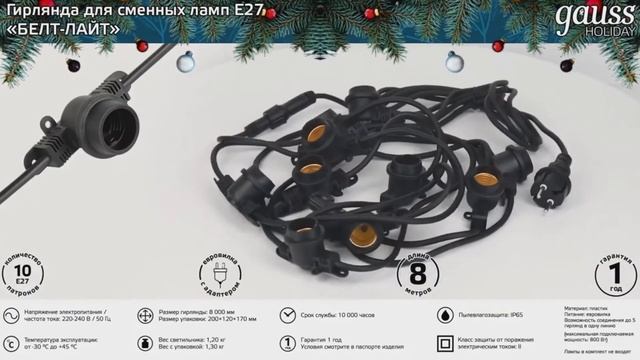 Новогодние проекторы и гирлянды GAUSS серия holiday смотреть онлайн