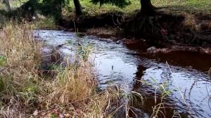 Семья Колесниковых /Колесниковы /Обзор новых ВЛОГОВ /На что готов Леха ради денег /