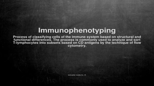 Medical vocabulary: What does Immunophenotyping mean смотреть онлайн