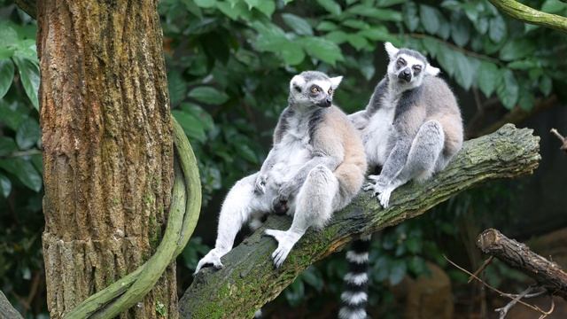 14527413-uhd_3840_2160_30fps