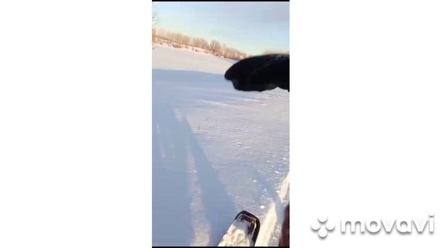 Детская радость.