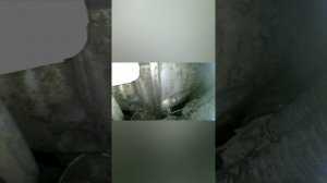 M157 5.5 525лс где номер мотора