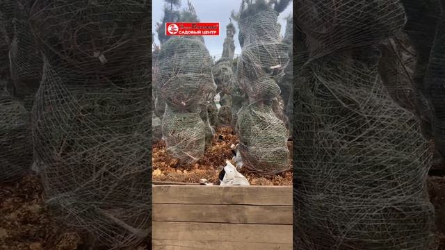 Рачительный садовод = счастливый 🙃