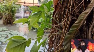 Приехав на сватовство, родители застыли в шоке, увидев невесту, копию мать жениха...