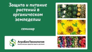 Вебинар "Защита и питание растений в органическом земледелии"
