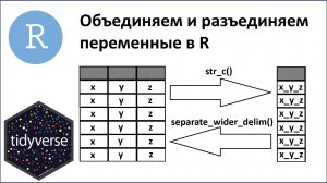 Объединение и разъединение переменных в R: команды str_c{stringr} и separate_wider_delim{tidyr}