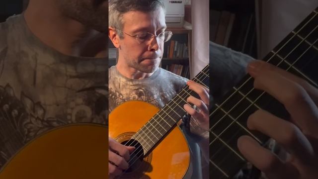 Ignacio Fleta Cedar Classic Guitar. смотреть онлайн