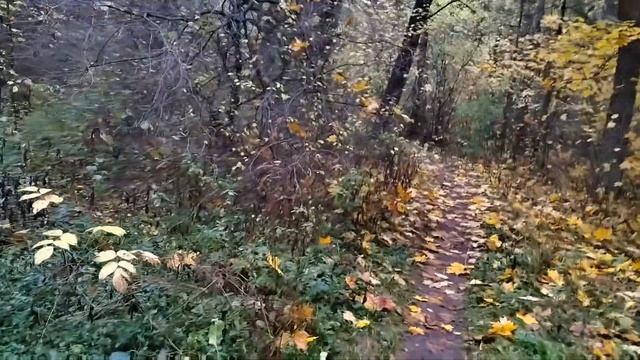 Ремонт продолжается. У нас улетела утка.