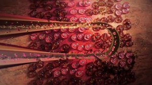 Гибель клеток на фоне недостатка кровоснабжения, функция органа теряется