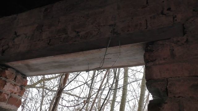 Заброха ЭХ Большевик. Не полезла дальше чтоб собаки не порвали смотреть онлайн