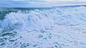 ЛУЧШИЕ КАДРЫ ЗЕМЛИ!