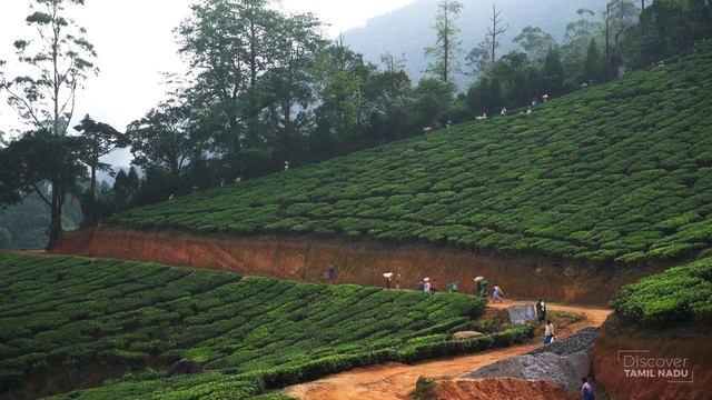 The Awakening | Ricky Kej | Studio A | Discover Tamil Nadu смотреть онлайн