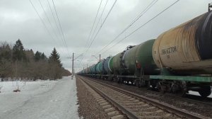 Разнообразие подвижного состава в Ленинградской области ранней весной. Подборка 14 в 1