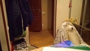 Мем из 2028 года. Вы не поймёте.