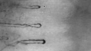 Схема микроциркуляции крови в норме