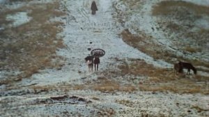 Кадры из кинофильмов | Легенда о Тиле. Пепел Клааса