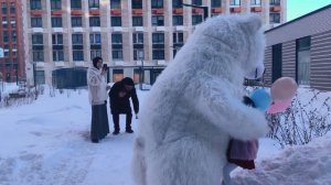 Аниматор белый медведь 🐻❄️