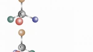 08.  (Ан-И). Хиральная молекула